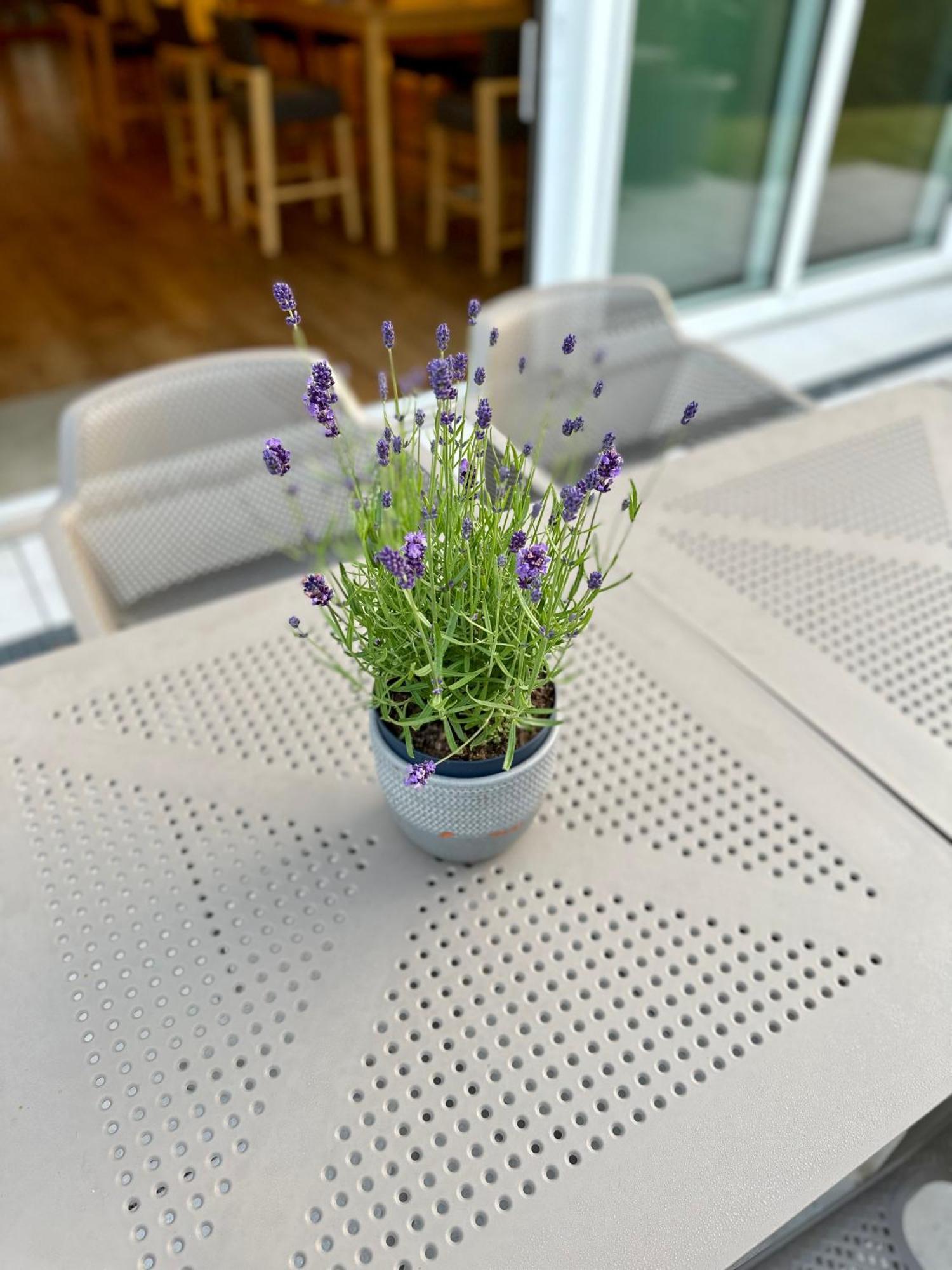 Gaestehaus Gn8 Rielasingen-Worblingen Luaran gambar